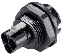 Wieland Electric Fiche Raccordt Appareil M25X1,5 Rst20I3 Wieland 96.032.1053.1