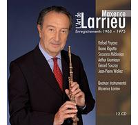 Wieland Kuijken - l'art de Maxence Larrieu