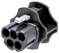 Wieland Z5.565.9853.1 Obturateur pour prises femelles