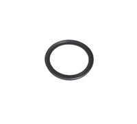 WIELEN Compatible avec joint de mandrin INTERCOOLER DACIA DOKKER DUSTER LODGY LOGAN II SANDERO II 1.5 DCI 8201089100