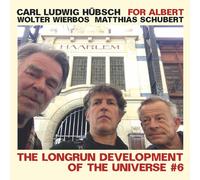 Wolter Wierbos;Carl Ludwig Hübsch;Matthias Schuber - For Albert: the Longrun Development of the Univers