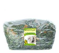 Wiesenknopf - Pissenlit avec fleurs, 1 kg de nourriture pour lapin