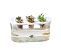 Wiffe Récipient hydroponique en Plastique Transparent pour Une Observation Facile des Racines des et de la Culture de l ' Eau pour d ' intérieur à Usage Domestique
