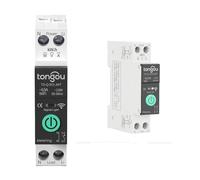 WiFi Smart Interrupteur à disjoncteur Télécommande sans fil à commande vocale Interrupteur à disjoncteur sur rail DIN Protecteur contre les surtensions et les surintensités 1-63A