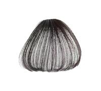 Wig Air Bangs - Pince À Cheveux Attrayante Pour Femme, Pince À Frange Pour Femme | Extensions Cheveux Frange, Frange Réaliste À Clipser Pour Usage Quotidien Pour Femmes, Fêtes Quotidiennes, Fêtes