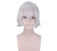 Wig for Anime destin Grand ordre Lang Lin Wang argent gris perruque courte Cosplay Costume résistant à la chaleur cheveux synthétiques hommes Cosplay perruques