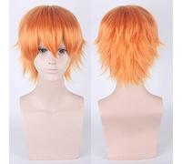 Wig for Anime Wigs Cosplay Christmas 30Cm Universal Cos Wig, Anti-Curling Face, Short Hair, Multi-Color Optional Hairy Style Color:002-44