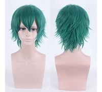 Wig for Anime Wigs Cosplay Christmas 30Cm Universal Cos Wig, Anti-Curling Face, Short Hair, Multi-Color Optional Hairy Style Color:002-54