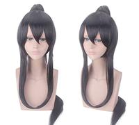 Wig for cosplay wig, magic way, anime, ancestor, Yiling, ancestor, Wei Wuxian, Lan Wangji, Wang Jijiang, costume, Cheng boy color: Xue Yang
