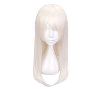 Wig for Destin Grand ordre Illyasviel von Einzbern perruque Cosplay Costume destin rester nuit Iriyasufiru fon Aintsuberun cheveux résistants à la chaleur