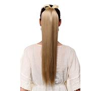 WIG ME UP - Postiche capillaire queue de cheval extension blond cendré lisse tombante maintien avec élastique et pinces env. 60 cm C9429-24