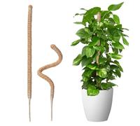 Wigearss 2 Pièces Tuteur Plante Grimpante en Coco sur Piquet, Support de Croissance de Plantes Grimpantes, Poteau Pliable en Coco de 5 mm de Largeur pour Jardin et Plantes Monstera, 70 cm