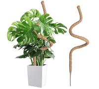 Wigearss Tuteur Plante Interieur, 120cm Tuteur Grimpante Coco, Support de Plante Tuteur de Coco Pliable Poteau de Croissance de Plantes Grimpantes pour Jardin Domestique, Plante Monstera