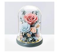 WIGSELBL Bouquet de fleurs préservées en verre avec lumière LED, cadeau de Noël pour femme, bouquets de fleurs fraîches pour elle, roses préservées pour la Saint-Valentin (rose)
