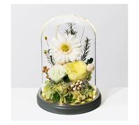 WIGSELBL Cadeaux d'anniversaire pour femme Fleurs préservées dans un dôme en verre Fleurs éternelles pour livraison Prime, fleurs fraîches colorées, anniversaire de mariage pour sa femme (blanc)