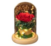 WIGSELBL Rose dans un dôme en verre avec lumières dans un coffret cadeau pour maman, rose en verre faite à la main, lampe romantique à fleurs éternelles, décoration d'intérieur alimentée par piles
