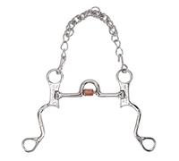 WIHFHGZ Mors Cheval 120mm, Embouchure INOX avec Chaîne pour Dressage, Matériel Équestre Durable - Contrôle Sécurisé, Design Confortable, Usage Équitation