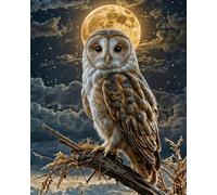 Wihgkin adultes broderie point de croix kits Hibou lunaire DIY débutant canevas point de croix kit 11CT toile pré-imprimé noel décoration de la maison (40x50cm)