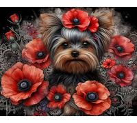 Wihgkin adultes broderie point de croix kits Yorkshire terrier avec coquelicots DIY débutant canevas point de croix kit 11CT toile pré-imprimé noel décoration de la maison (40x50cm)