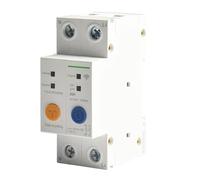 WIIYENA Pour disjoncteur intelligent ewelink APP 2P 25A DIN Rail Télécommande Interrupteur avec minuterie et commande vocale pour domotique