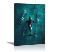 WIKEO Tableau plage Animaux marins mignons Decoration Chambre Tableaux, Posters et Arts Décoratifs, Maison, Cuisine, Bureau ，Salon Decor Posters(noir)-70x100cm Encadrée