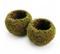 Wilafury Paquet de 2 Boules de Mousse, jardinière Mousse décorative 8 Pouces, Pot bonsaï à Couverture Naturelle, Pots bonsaï créatifs pour orchidées, Bureau, étagère, Balcon, 20 cm