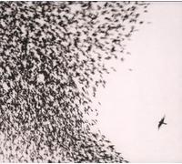 Wilco - Blue Sky