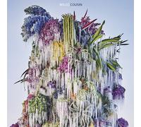 Wilco Cousin (CD) Album