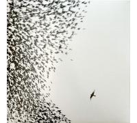 Wilco - Blue Sky =HQ Vinyl=