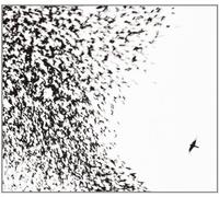 Wilco - Sky Blue Sky by Wilco Enhanced edition (2007) Audio CD
