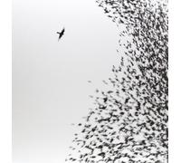 Wilco - Blue Sky =HQ Vinyl=