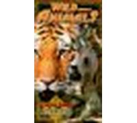Wild About Animals: Africa & India [VHS]