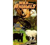 Wild About Animals: Canada Alaska & Scandinavia [VHS]