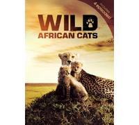 Wild African Cats