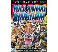 Wild Animal Kingdom from Cute to Killer (4 DVD) [Edizione: Regno Unito] [Import]