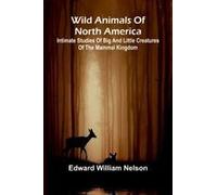Wild Animals Of North America Intimate Studies Of Big And Little Creatures Of The Mammal Kingdom