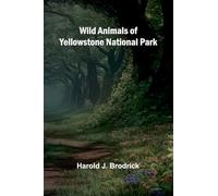 Wild Animals of Yellowstone National Park