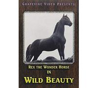 Wild Beauty [Dvd] [1927] [Region 1] [Us Import] [Ntsc]