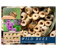 Wild bees - The life of solitary bees in insect hotels (Wall Calendar 2026 DIN A3 landscape), CALVENDO 12 Month Wall Calendar: A year at the wild bee hotel