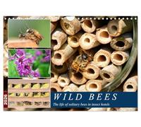 Wild bees - The life of solitary bees in insect hotels (Wall Calendar 2026 DIN A4 landscape), CALVENDO 12 Month Wall Calendar: A year at the wild bee hotel