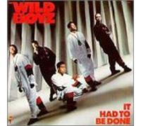Wild Boyz - It Had to Be Done