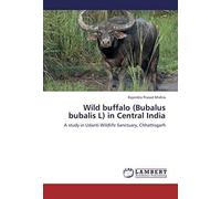 Wild Buffalo (Bubalus Bubalis L) In Central India