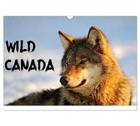 Wild Canada (Wall Calendar 2026 DIN A3 landscape), CALVENDO 12 Month Wall Calendar: Canada's most iconic wildlife photographed in their original environment.