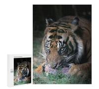 Wild Cat Puzzle en bois 500 pièces - Bois dur, cadeau créatif parfait pour les personnes âgées