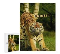 Wild Cat Puzzle en bois dur 500 pièces - Développement parfait des compétences pour les collectionneurs