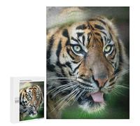 Wild Cat Puzzle en bois dur 500 pièces - Parfait pour s'amuser en intérieur pour les amis