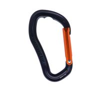 Wild Country Electron Straight Gate Mousqueton à pression One Size Noir