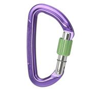 Mousqueton Wild Country Session Screw Gate lilas vert