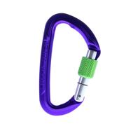 Wild Country Session Screw Gate Mousqueton Taille unique Violet