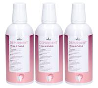 WILD Depurdent Clean & Polish Liquide 3x500 ml
